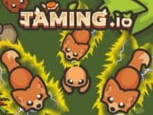 Taming.io